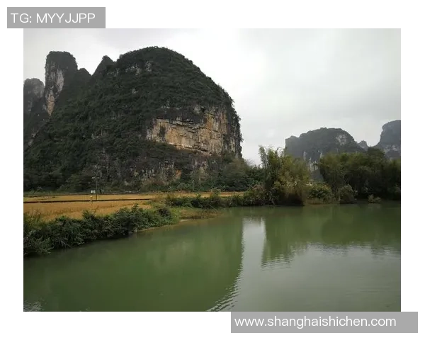 《全球足球历史百大球星传记：从传奇诞生到巅峰时刻》