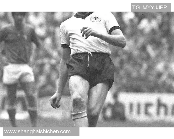 不打足球的球星:那些在球场之外同样闪耀的传奇人物 不打足球的球星:那些在球场之外同样闪耀的传奇人物